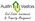 Tiny_austinvestors_script_logo
