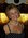 Latest_posts_thumb_avatar-liliaz