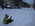 Latest_posts_thumb_avatar-tracyzhen