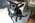 Latest_posts_thumb_avatar-georgiaboy