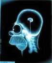 Profile_badge_avatar-zboy2854
