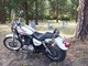 Forum_avatar_avatar-coolride
