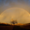 Latest_posts_thumb_avatar-reiusa