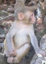 Profile_badge_avatar-buckland