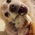 Latest_posts_thumb_avatar-starayummi