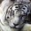 Latest_posts_thumb_avatar-bighenry911