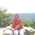 Latest_posts_thumb_avatar-birddogpup