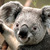 Comment_thumb_avatar-kapsi77