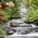 Latest_posts_thumb_avatar-bizworld