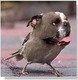 Forum_avatar_avatar-prospertute