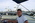 Latest_posts_thumb_avatar-f18lumpy