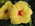 Latest_posts_thumb_avatar-sunshine