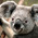 Latest_posts_thumb_1392578892-avatar-maryjoe