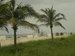 Colleague_thumb_avatar-whereitallbegan