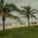 Latest_posts_thumb_avatar-whereitallbegan