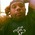 Latest_posts_thumb_avatar-allenflipscribs