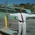 Latest_posts_thumb_avatar-denmarkrealty