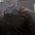 Latest_posts_thumb_avatar-shaneallen