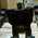 Latest_posts_thumb_avatar-oldscratch