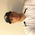 Latest_posts_thumb_avatar-futurepro34