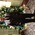 Latest_posts_thumb_avatar-allenhb