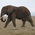 Latest_posts_thumb_avatar-rei_investor