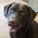 Latest_posts_thumb_1389907593-avatar-urscdealfinder