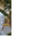 Latest_posts_thumb_1382487043-avatar-brent27