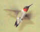 Forum_avatar_avatar-wordbrd