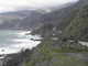Forum_avatar_avatar-tbg