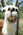 Latest_posts_thumb_avatar-inamiks