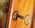 Latest_posts_thumb_avatar-scottficek