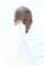 Colleague_thumb_avatar-dolmar