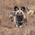 Latest_posts_thumb_1393535970-avatar-cal_c