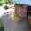Latest_posts_thumb_1394737875-avatar-ard038