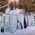 Latest_posts_thumb_1397394827-avatar-elizabethmi
