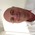 Latest_posts_thumb_1396825117-avatar-timallman55