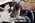 Latest_posts_thumb_avatar-ress