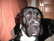Forum_avatar_avatar-tonna123