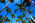Latest_posts_thumb_avatar-devo