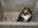 Latest_posts_thumb_avatar-acp