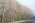 Latest_posts_thumb_avatar-burkeexyz