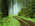 Latest_posts_thumb_avatar-sully