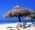 Latest_posts_thumb_avatar-dianachu