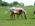 Latest_posts_thumb_avatar-jerrit