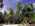 Latest_posts_thumb_avatar-jackied