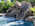 Latest_posts_thumb_avatar-paulsolo