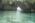 Latest_posts_thumb_avatar-shakie4321