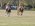 Latest_posts_thumb_avatar-r_wilson