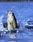 Colleague_thumb_avatar-premiumproperty